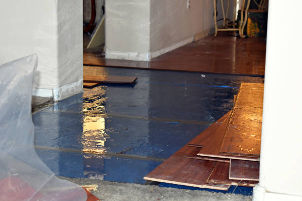 Professional Water Extraction technician working in Highland, MI